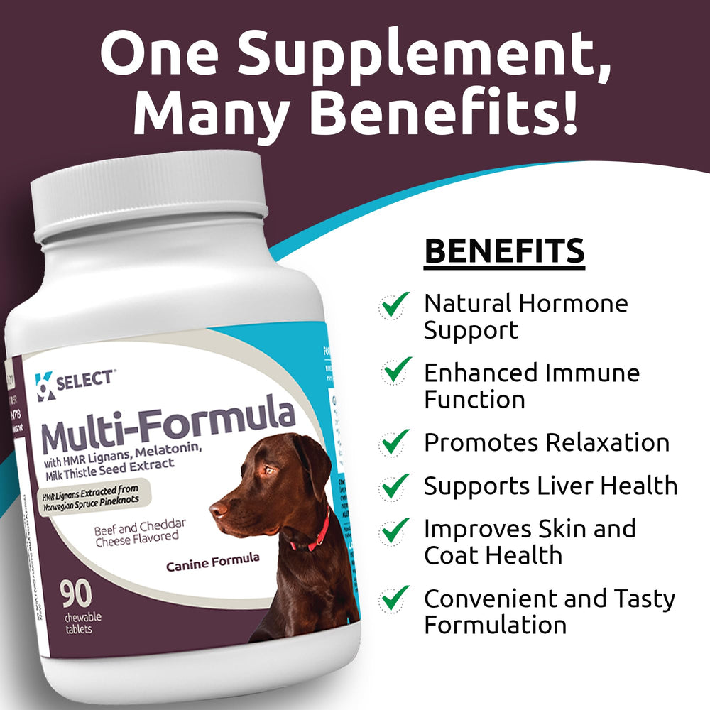 K9 Select Multi-Formula dog-giving-chew: supports a simple daily routine.