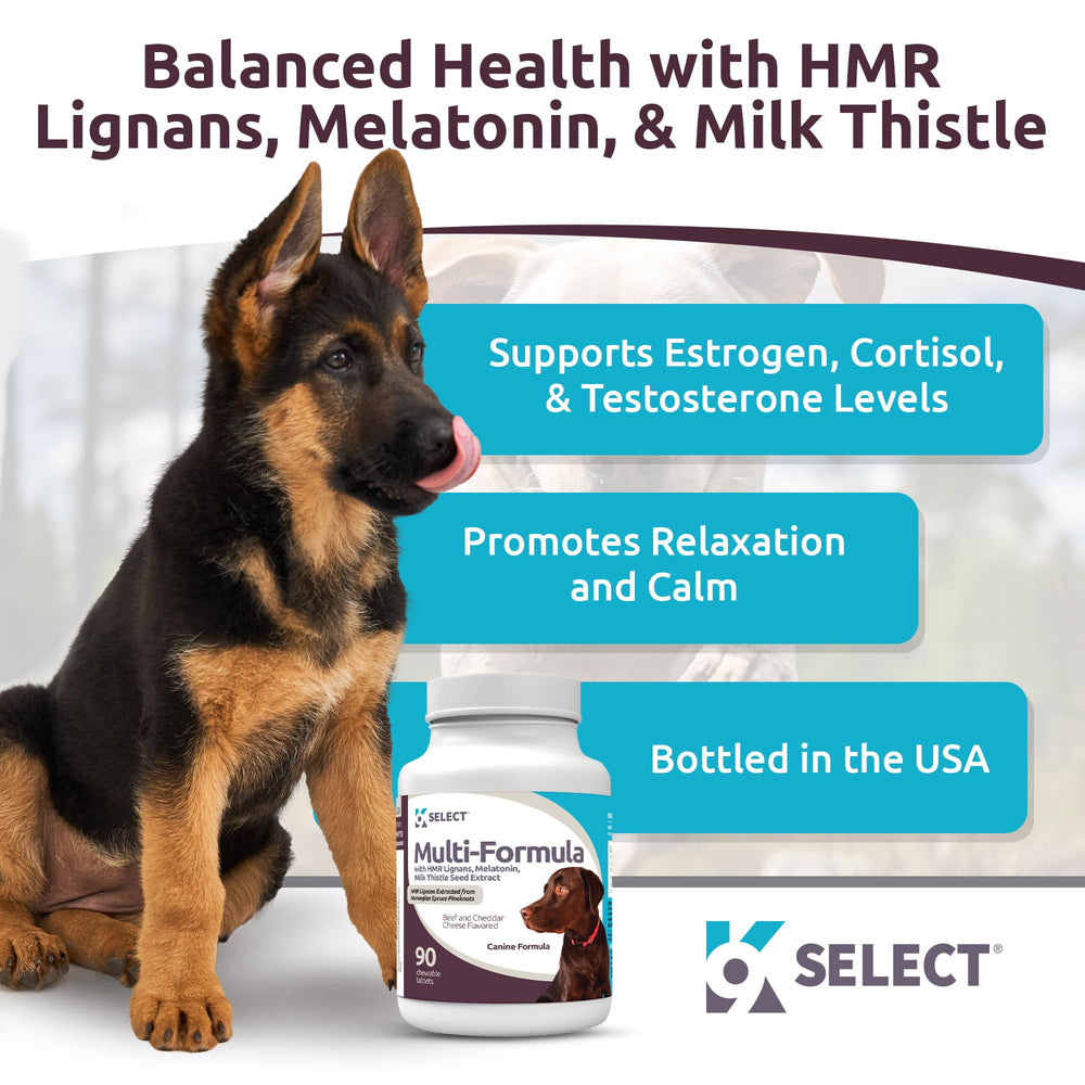 K9 Select Multi-Formula large-dog chews beef flavor bottle: convenient daily vitamins for stamina.