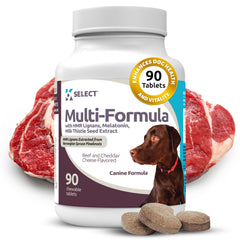 K9 Select Multi-Formula large-dog chews beef flavor pour: easy daily supplement for vitality.