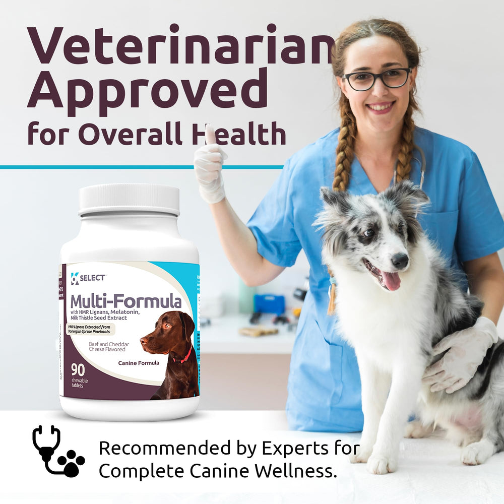 K9 Select Multi-Formula chew tray: packaging front for lifestyle-friendly supplement routine.