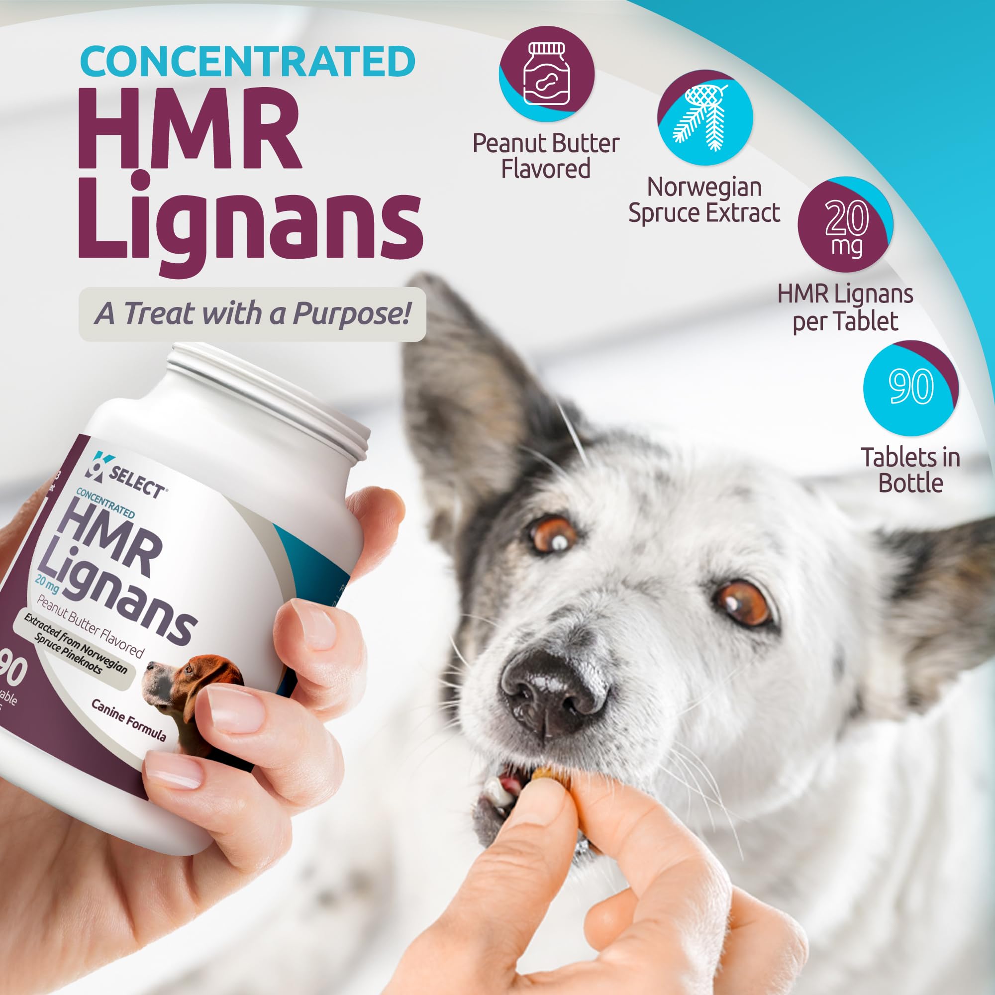 K9 Select Norwegian Spruce source label highlights premium immune support.