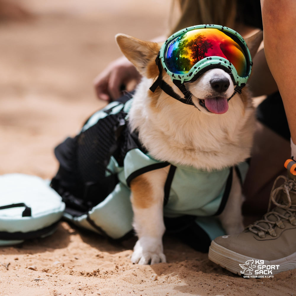 K9 Sport Sack Plus 2 heavy-duty webbing emphasizes long-lasting durability.