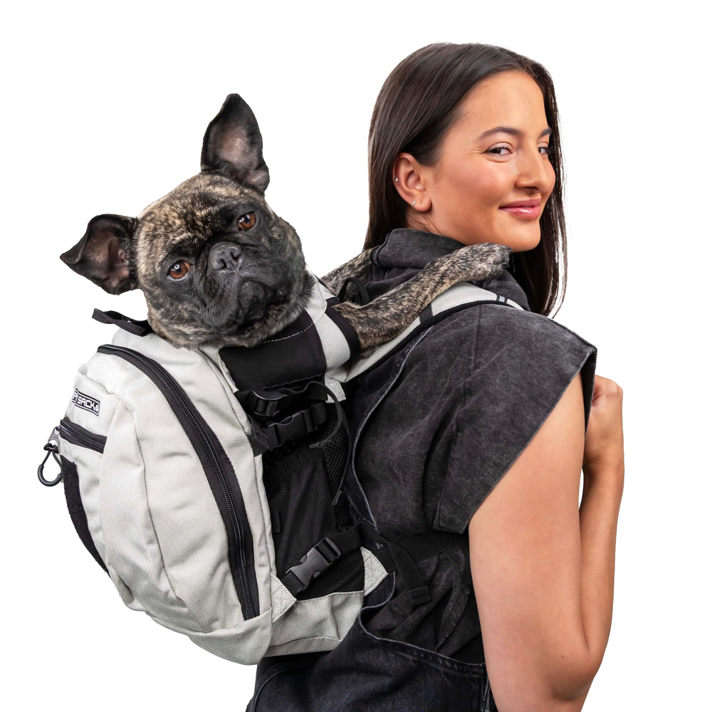 K9 Sport Sack Plus 2 dog in backpack offers hands-free carry for comfortable urban adventures.
