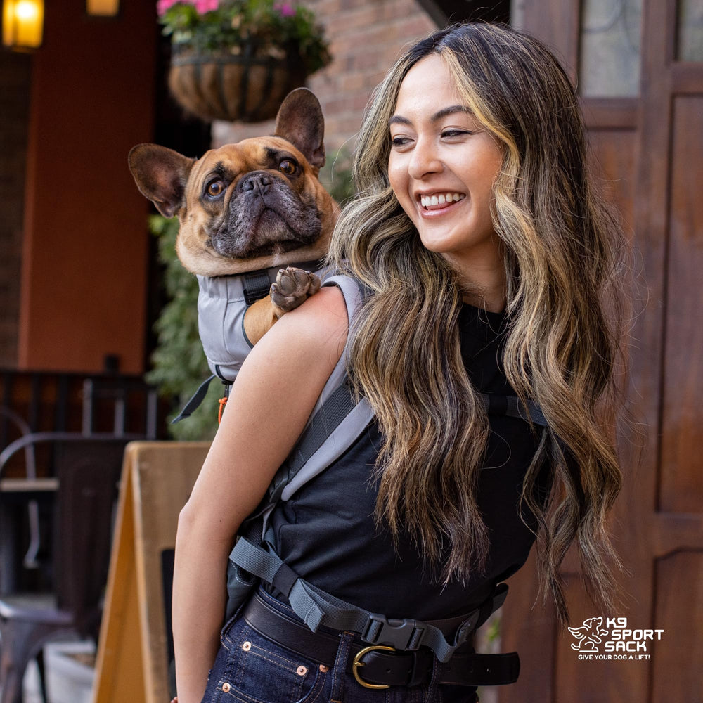 K9 Sport Sack Urban 3 Small Leafy waist strap—adjustable secure fit for semi-strenuous activities.