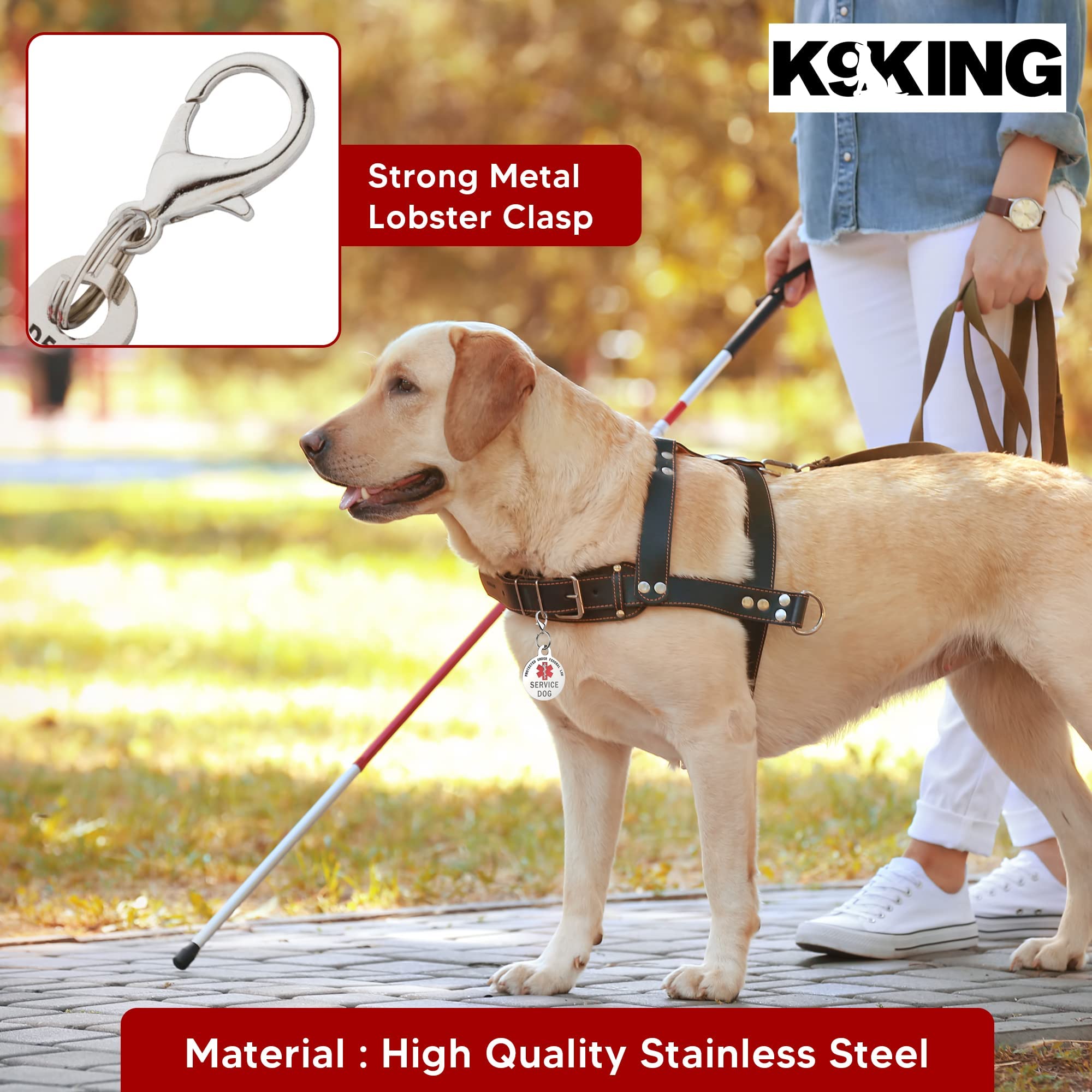 K9King tag highlights medical alert symbol for quick recognition