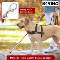 K9King engraving closeup highlighting customized details