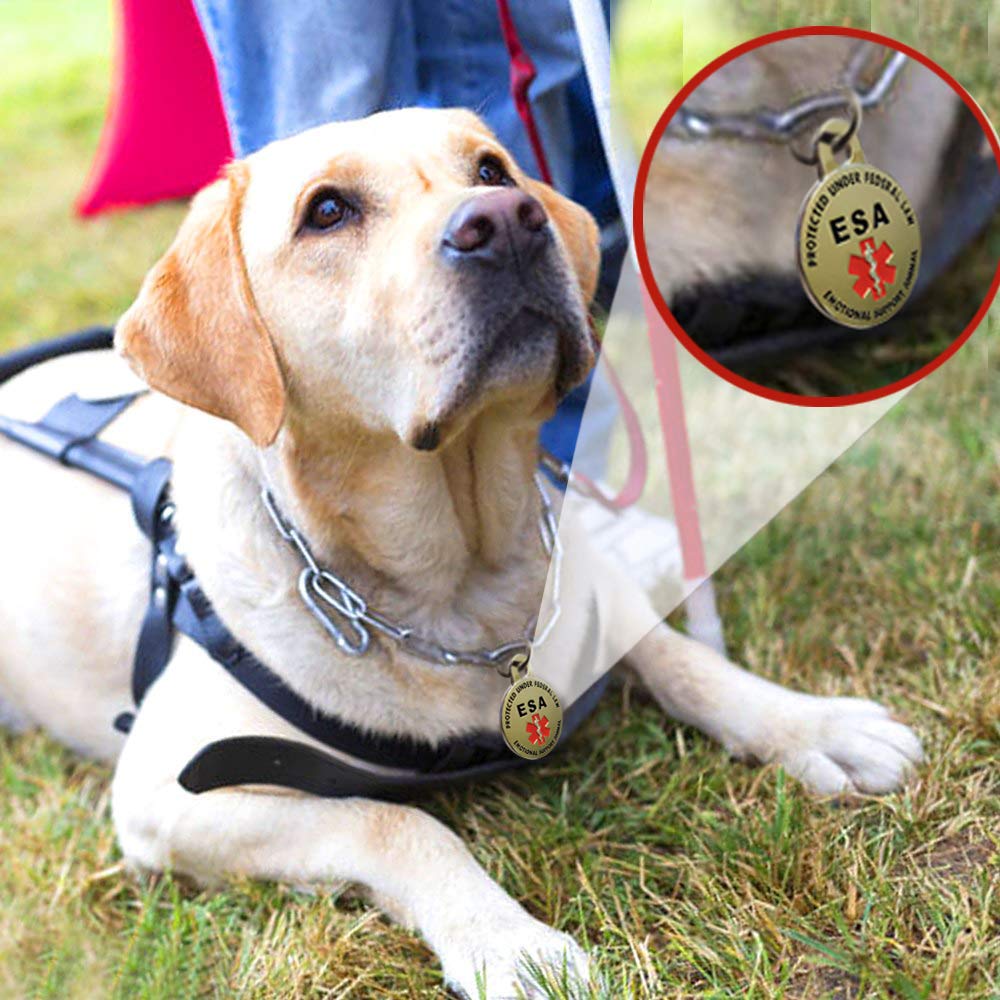 K9 King small/large tag fits most breeds for personalized identification.