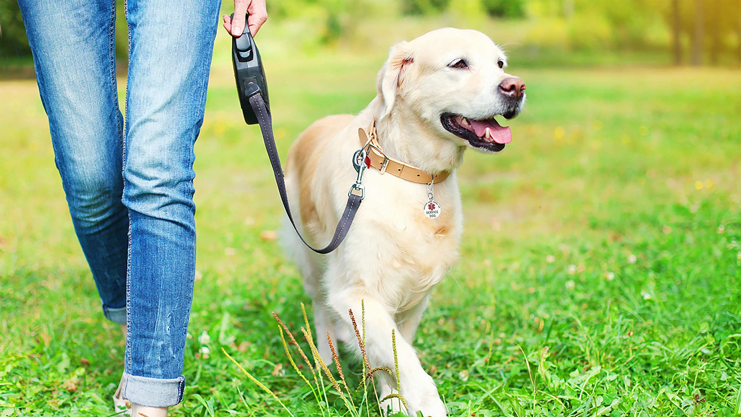 K9King veteran-owned brand reflects quality craftsmanship.