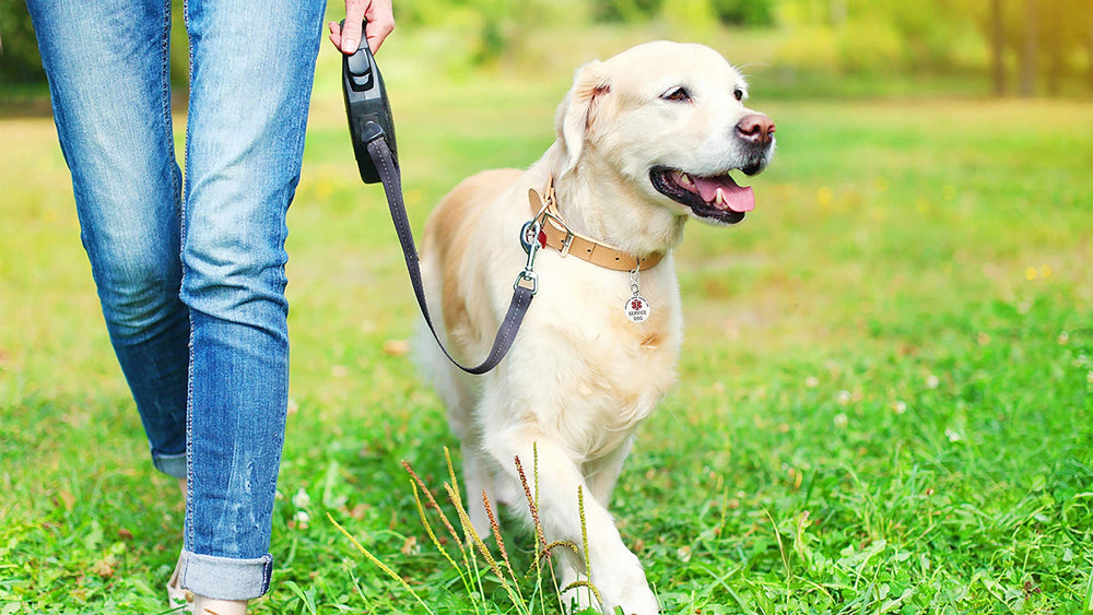 K9King veteran-owned brand reflects quality craftsmanship.