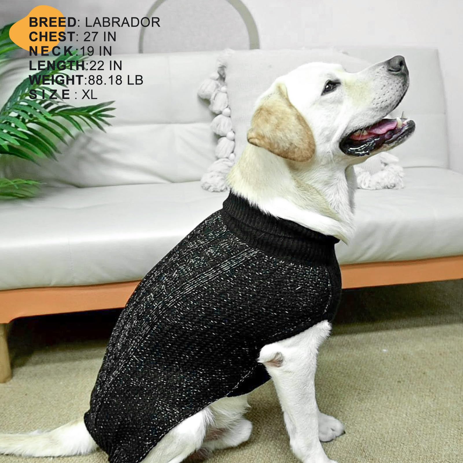 K9meme medium dog sweater care-washability demonstrates durable stitching after washes.