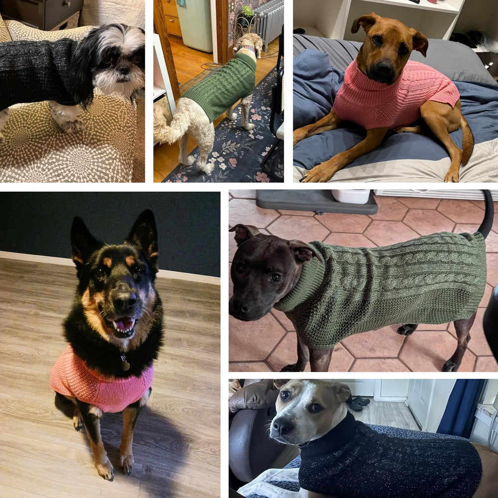 K9meme medium dog sweater color variants match outfits for holidays.