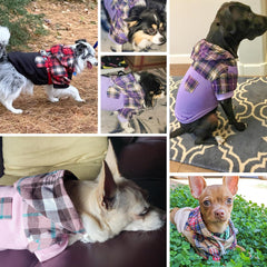K9meme plaid hoodie back pocket feature adds cute storage for treats on walks