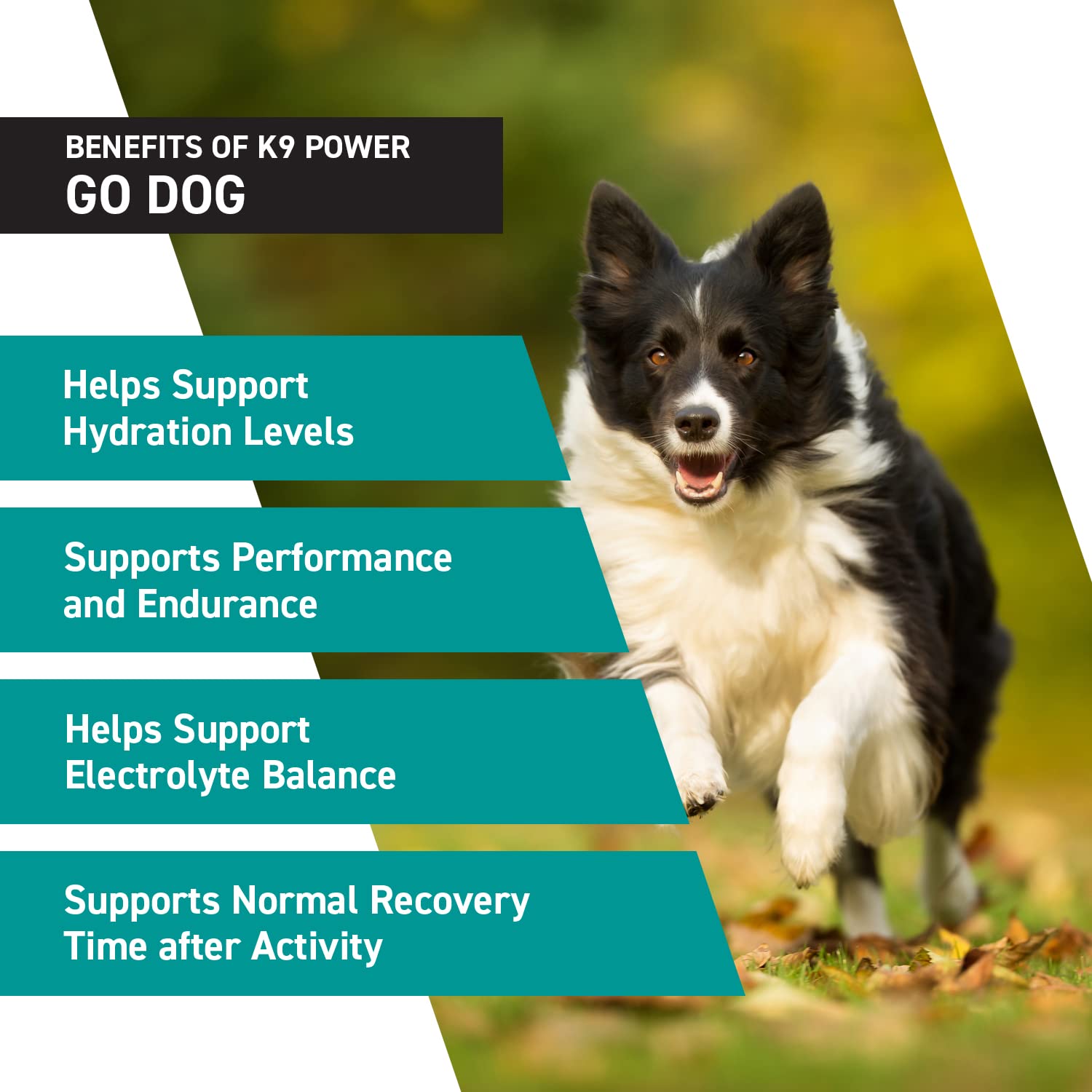K9Power Go Dog endurance-boost bottle label during training.