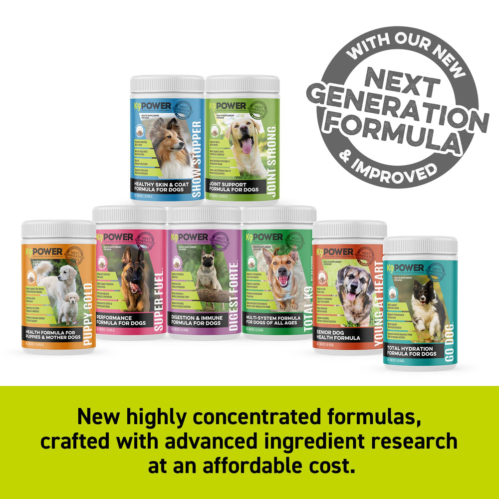 K9Power Go Dog packaging display shows convenient multi-serve packaging.
