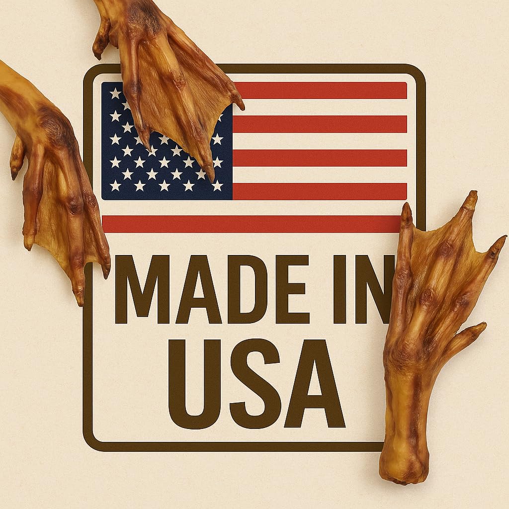 K9warehouse dehydrated duck feet — close-up snack, a crunchy treat suitable for dogs of all sizes.
