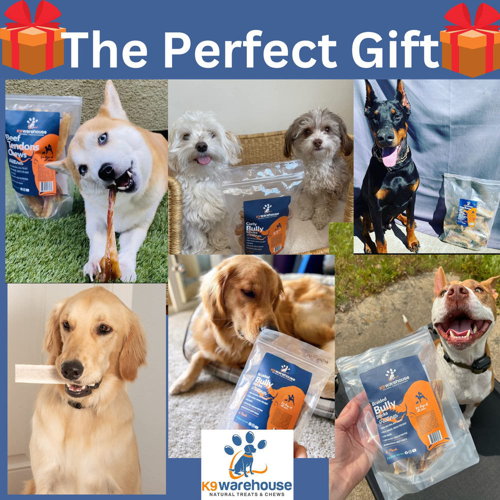 K9warehouse dog-snack-bones-ready-to-use presents convenient, ready-to-serve chew options.