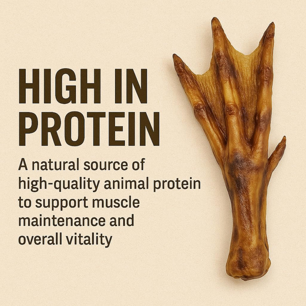 K9warehouse duck feet for dogs — dental-health oriented close-up demonstrates plaque-reducing chew.
