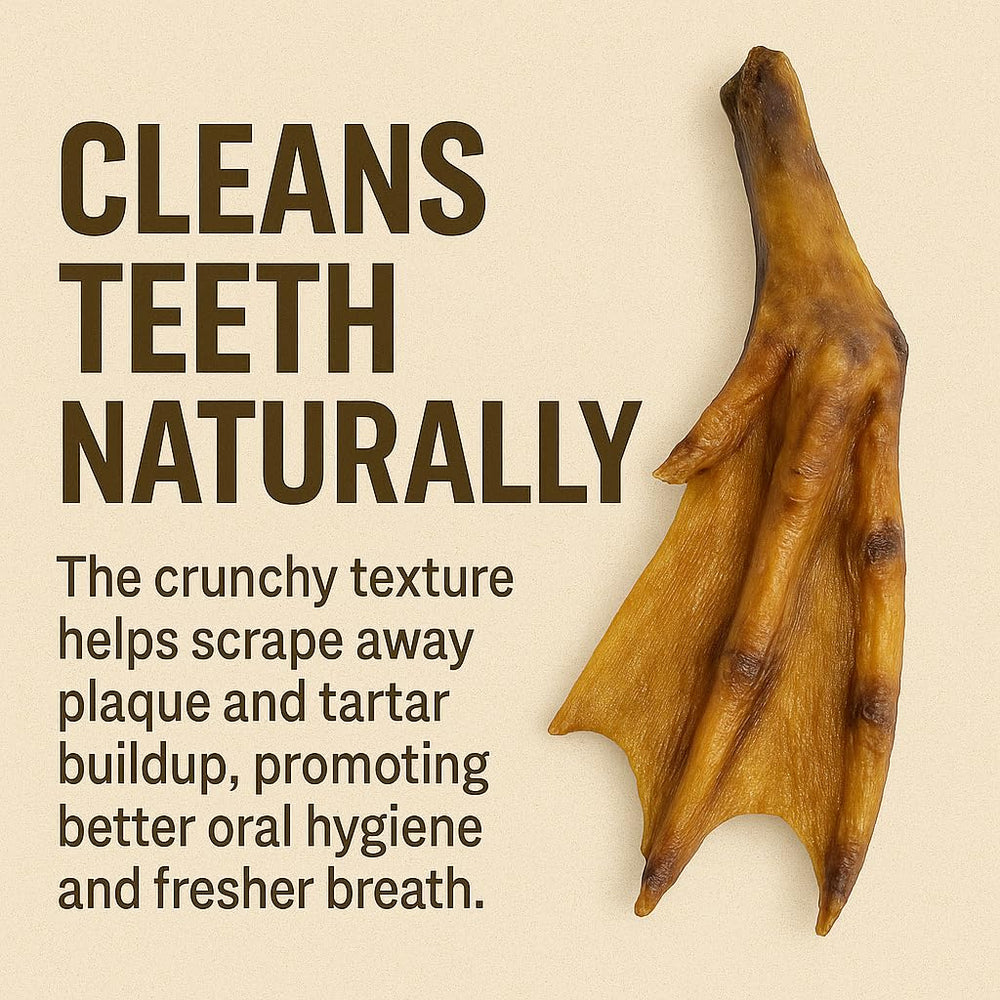 K9warehouse duck feet close-up shows a natural single-ingredient chew with potential joint-support benefits.