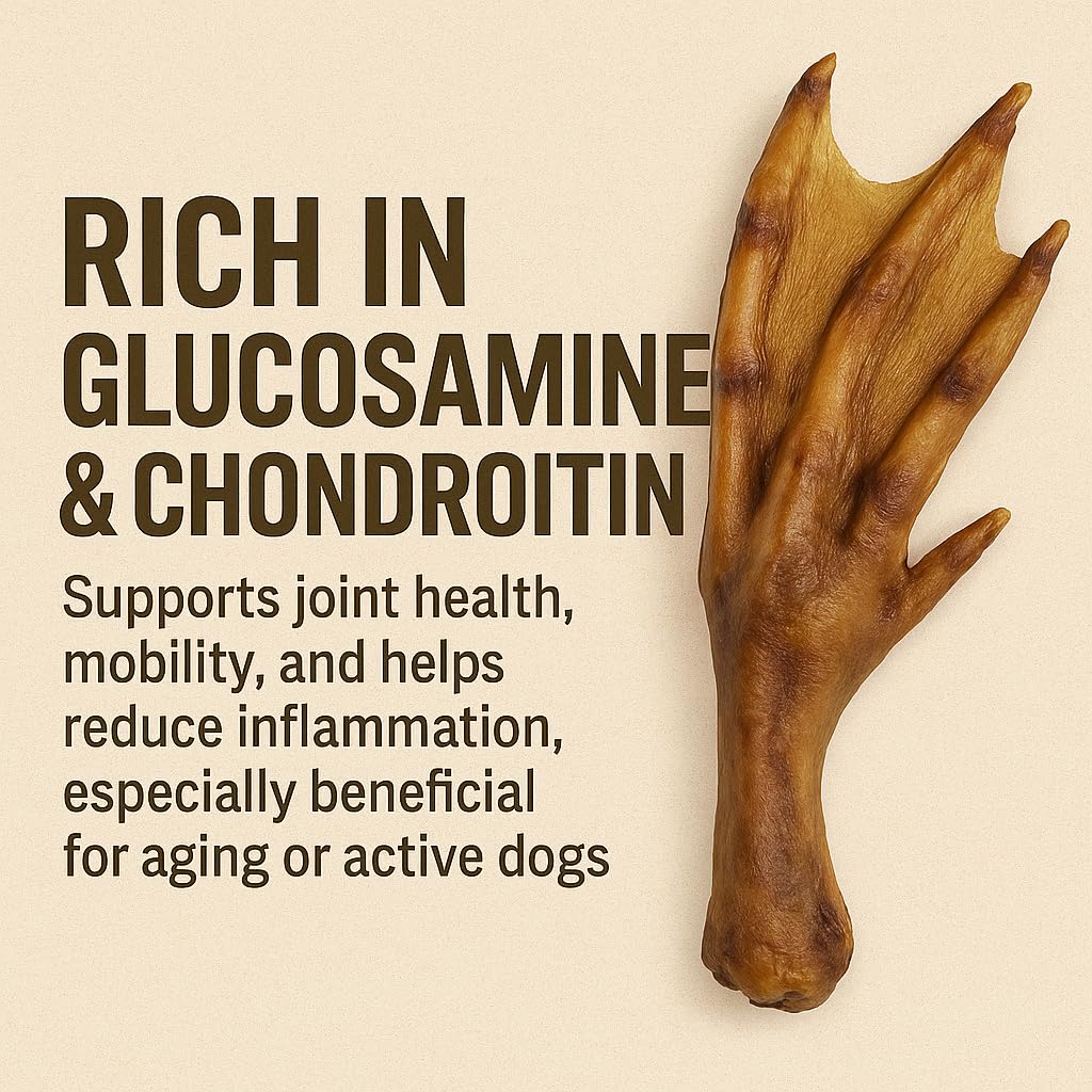 K9warehouse duck feet for small breeds — close-up emphasizing bite-sized chewability.