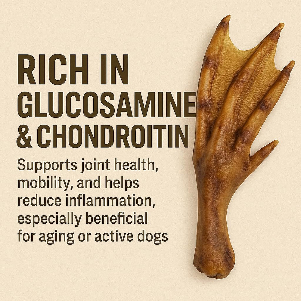 K9warehouse duck feet for small breeds — close-up emphasizing bite-sized chewability.