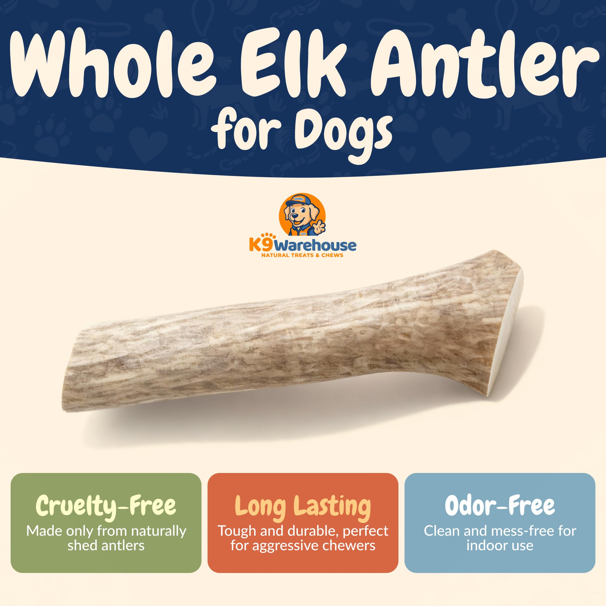 K9warehouse elk antlers closeup texture highlights rugged surface for gnawing