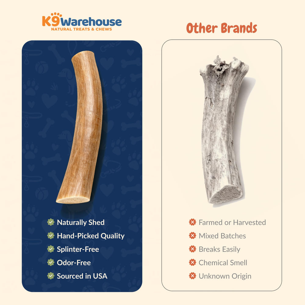 K9warehouse elk antlers dental-scene illustrates natural support for oral hygiene