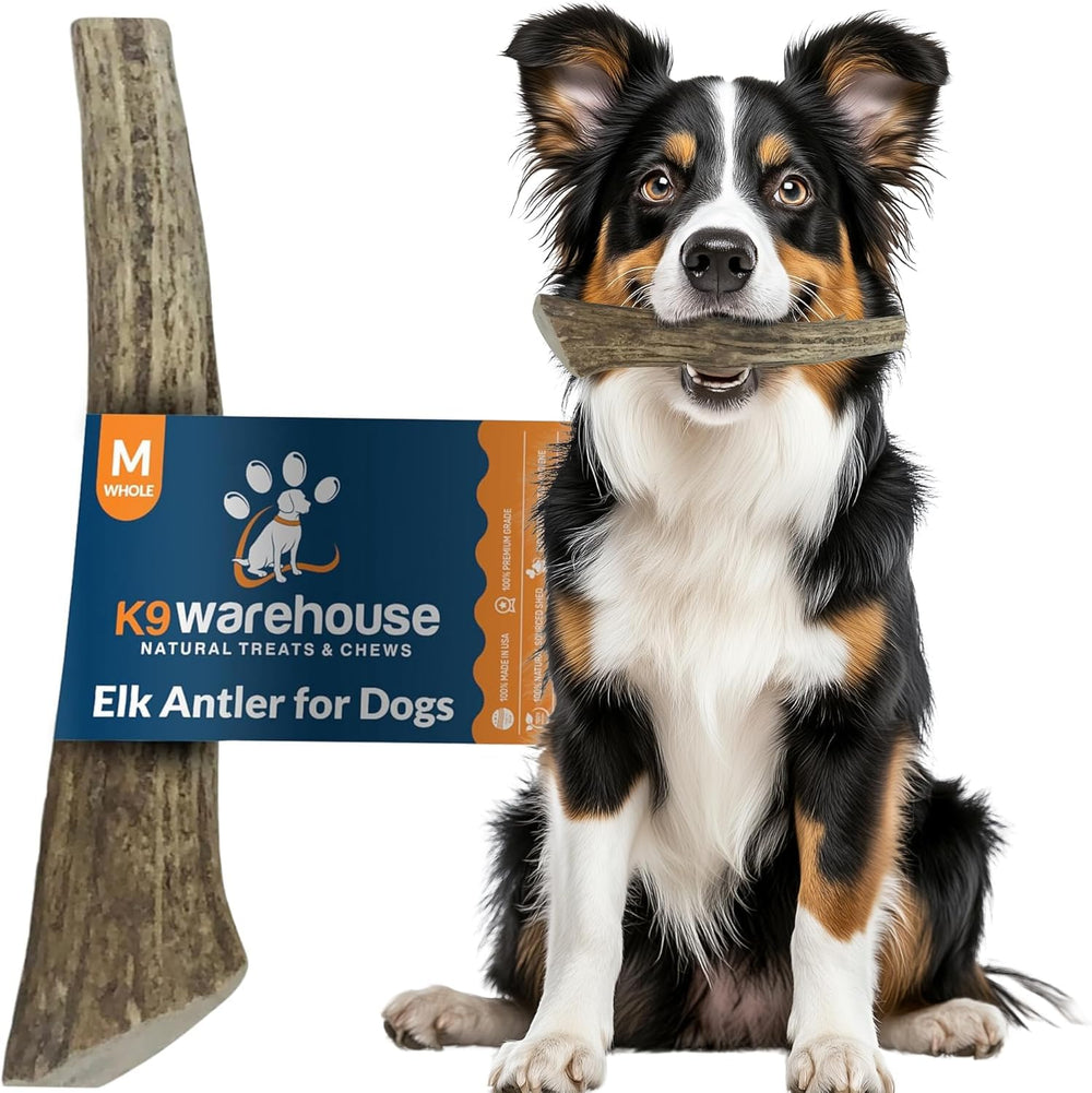 K9warehouse elk antlers packaging display highlights USA-sourced chew option