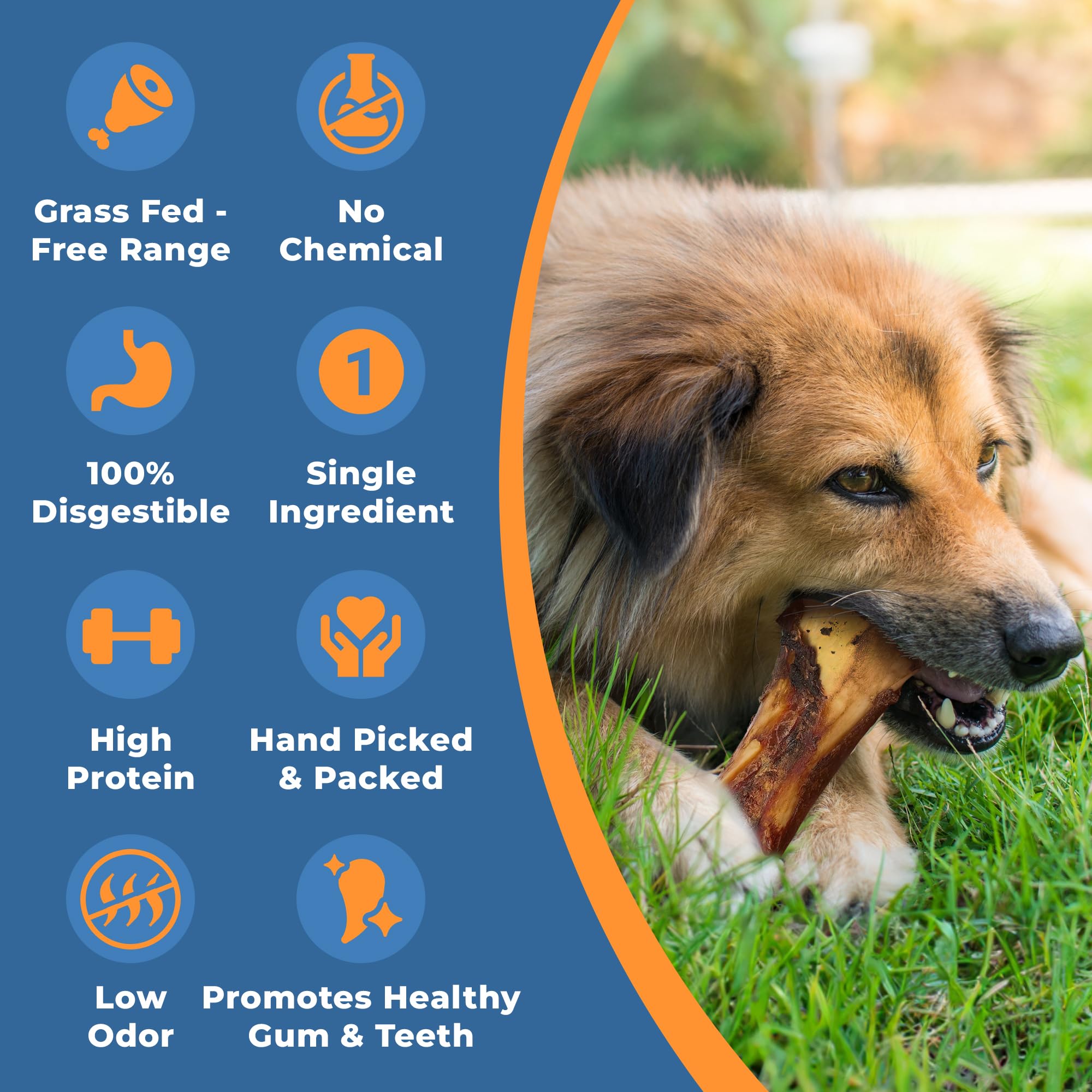 K9warehouse long-lasting-chew depicts hours of canine engagement.