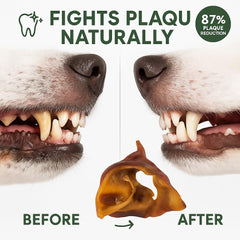 K9warehouse pig ears training-reward pieces—crunchy natural chew for daily training.