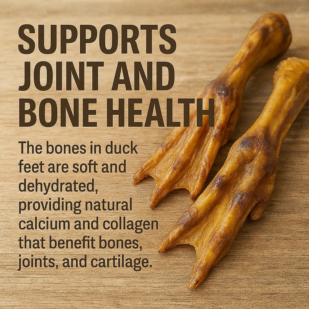 K9warehouse single-ingredient-duck-feet — close-up showing natural nutrition and simple, digestible snacking.