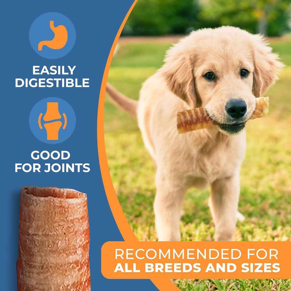 K9warehouse Trachea Dog Chews digestible texture for easy chewing