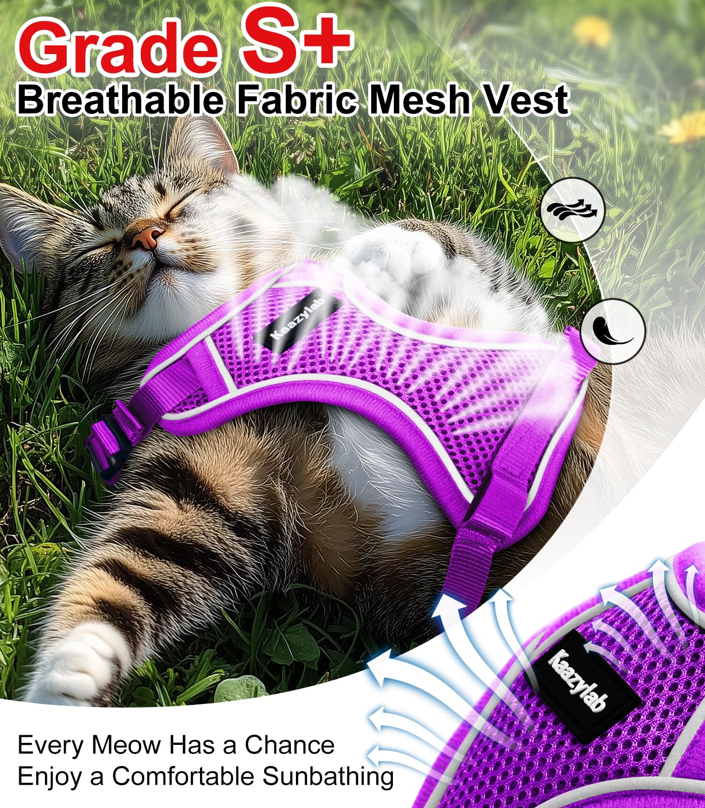 Kaazylab adjustable 3 strap system demonstrates secure fit for various cat sizes