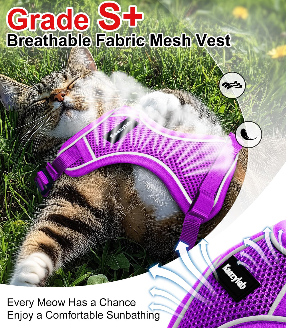 Kaazylab adjustable 3 strap system demonstrates secure fit for various cat sizes