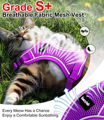 Kaazylab adjustable 3 strap system demonstrates secure fit for various cat sizes