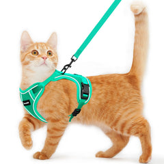 Arnés Kaazylab para gatos a prueba de escape durante paseo
