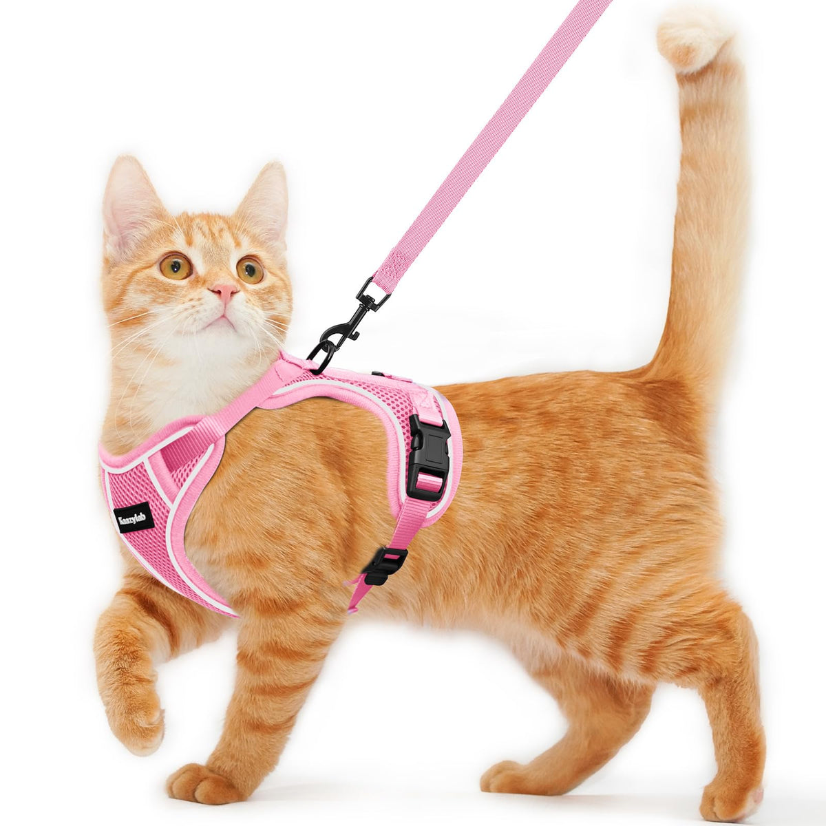 Arnés Kaazylab para gato con diseño respirable y ajuste seguro