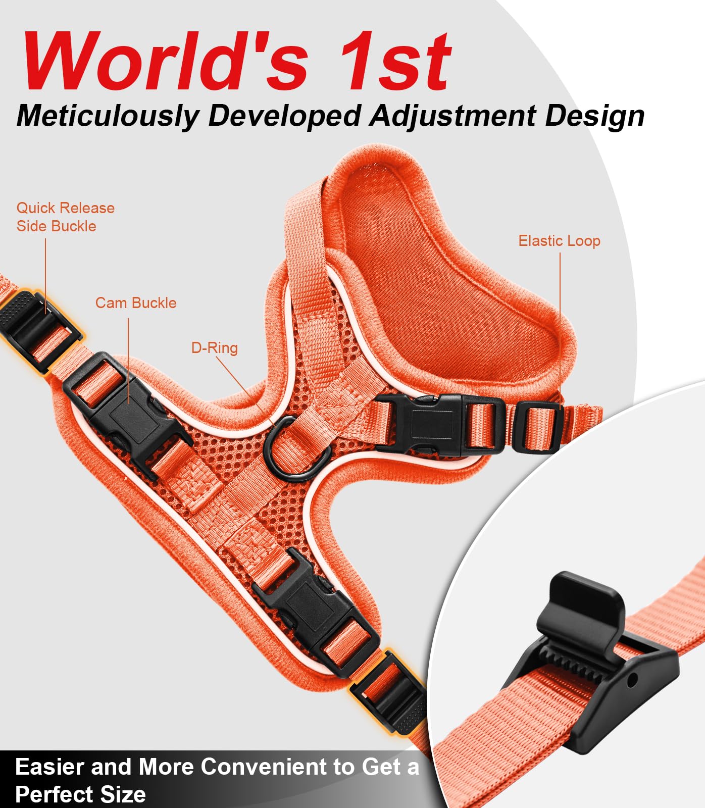 Kaazylab cat harness 360-fit hugs neck and chest for comfy wear
