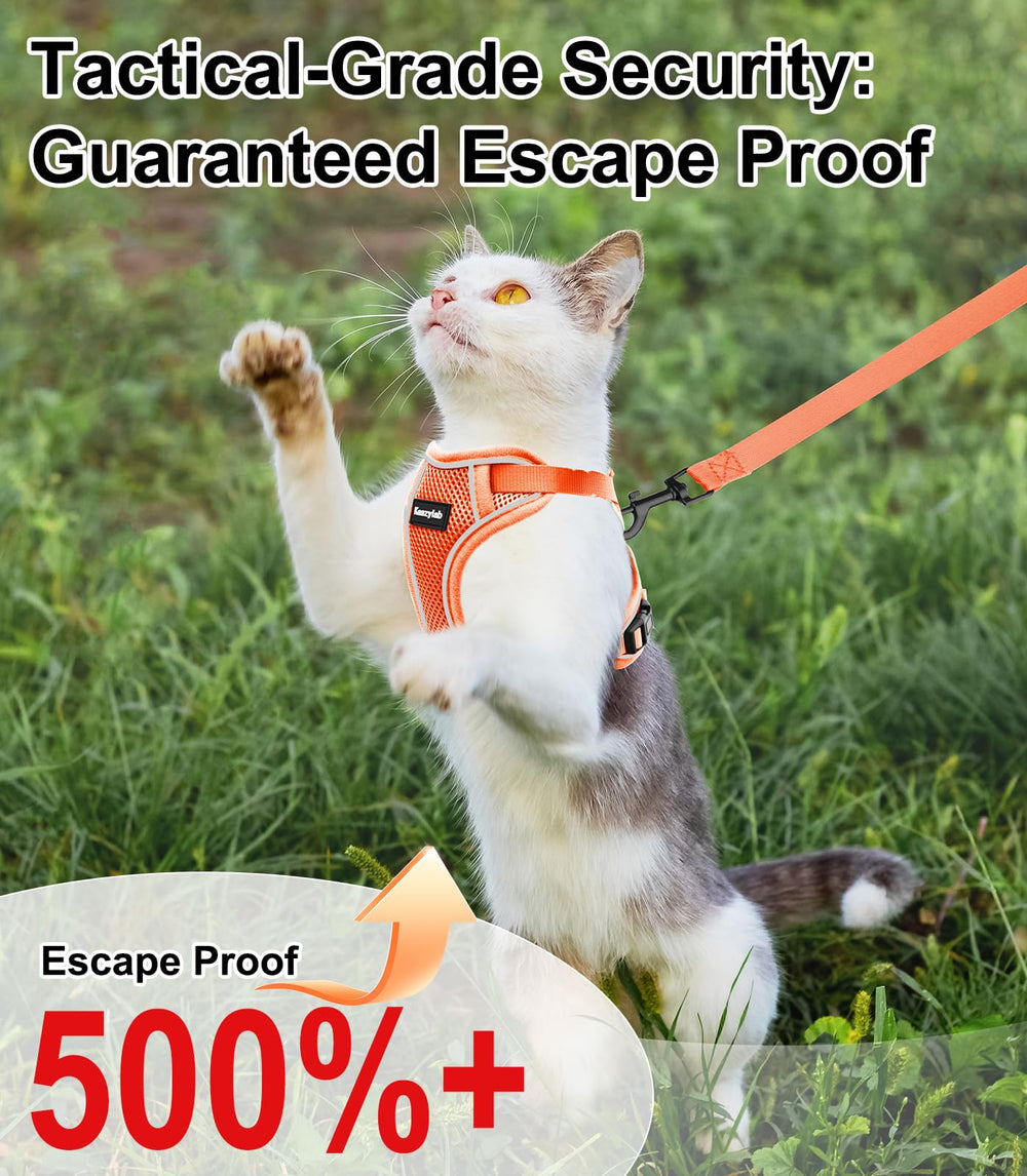 Kaazylab cat harness adjustable-straps in action offers a personalized, snug fit