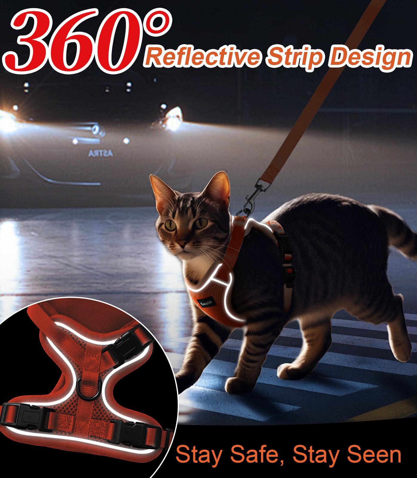 Kaazylab cat harness during walk demonstrates quick-release ease for wriggly cats