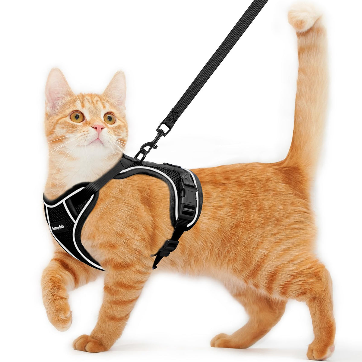 Kaazylab cat harness escape-proof design closeup highlighting double-layer protection for secure walks
