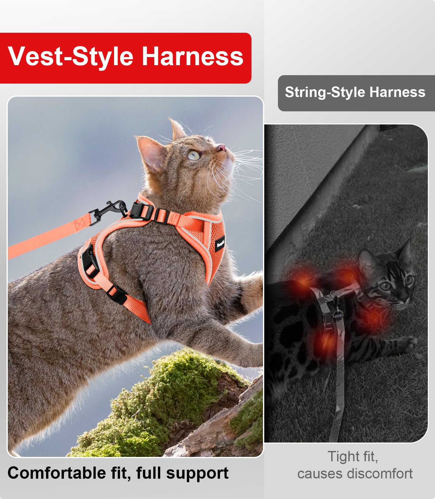 Kaazylab cat harness orange-s vest enables easy outdoor travel for small cats