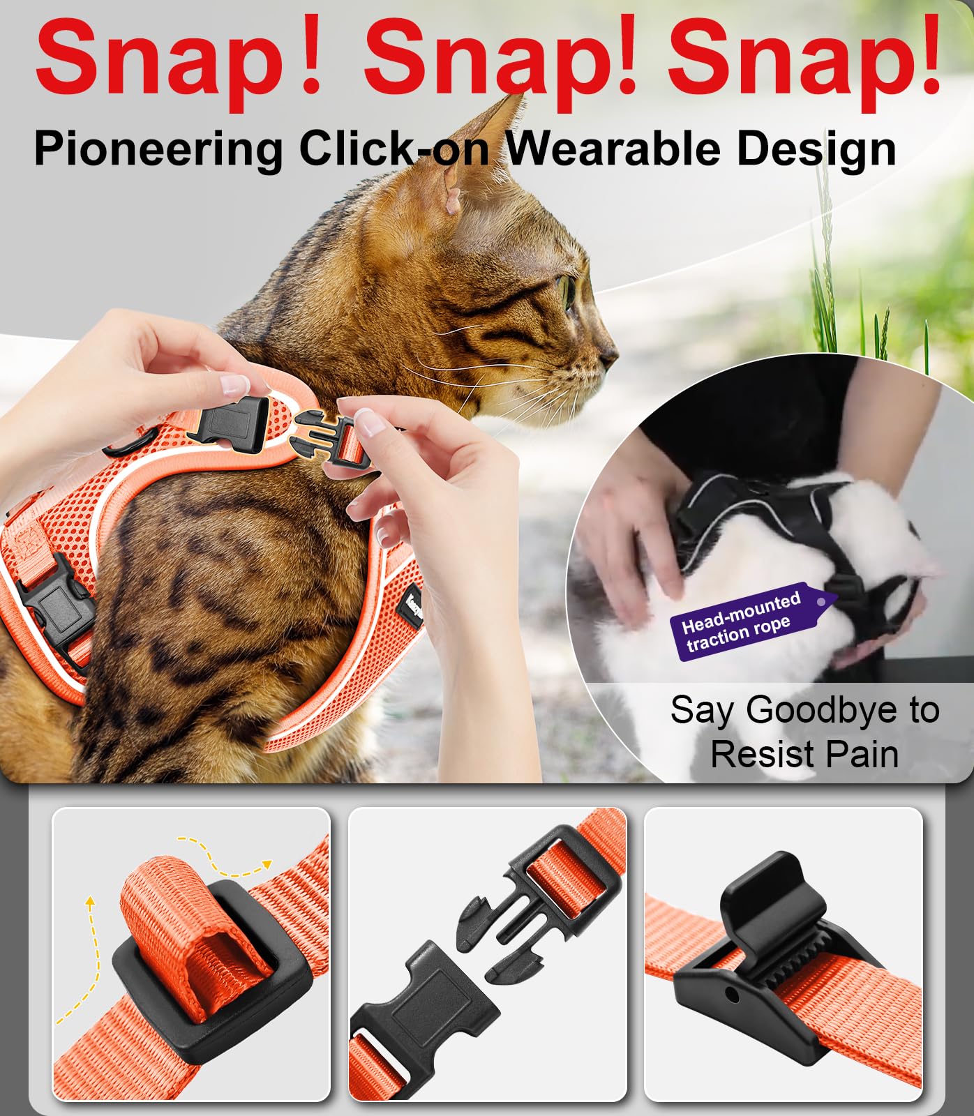 Kaazylab cat harness reflective strip makes evening walks safer and visible