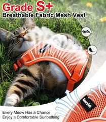 Kaazylab cat harness soft air mesh keeps cats cool on long outdoor walks