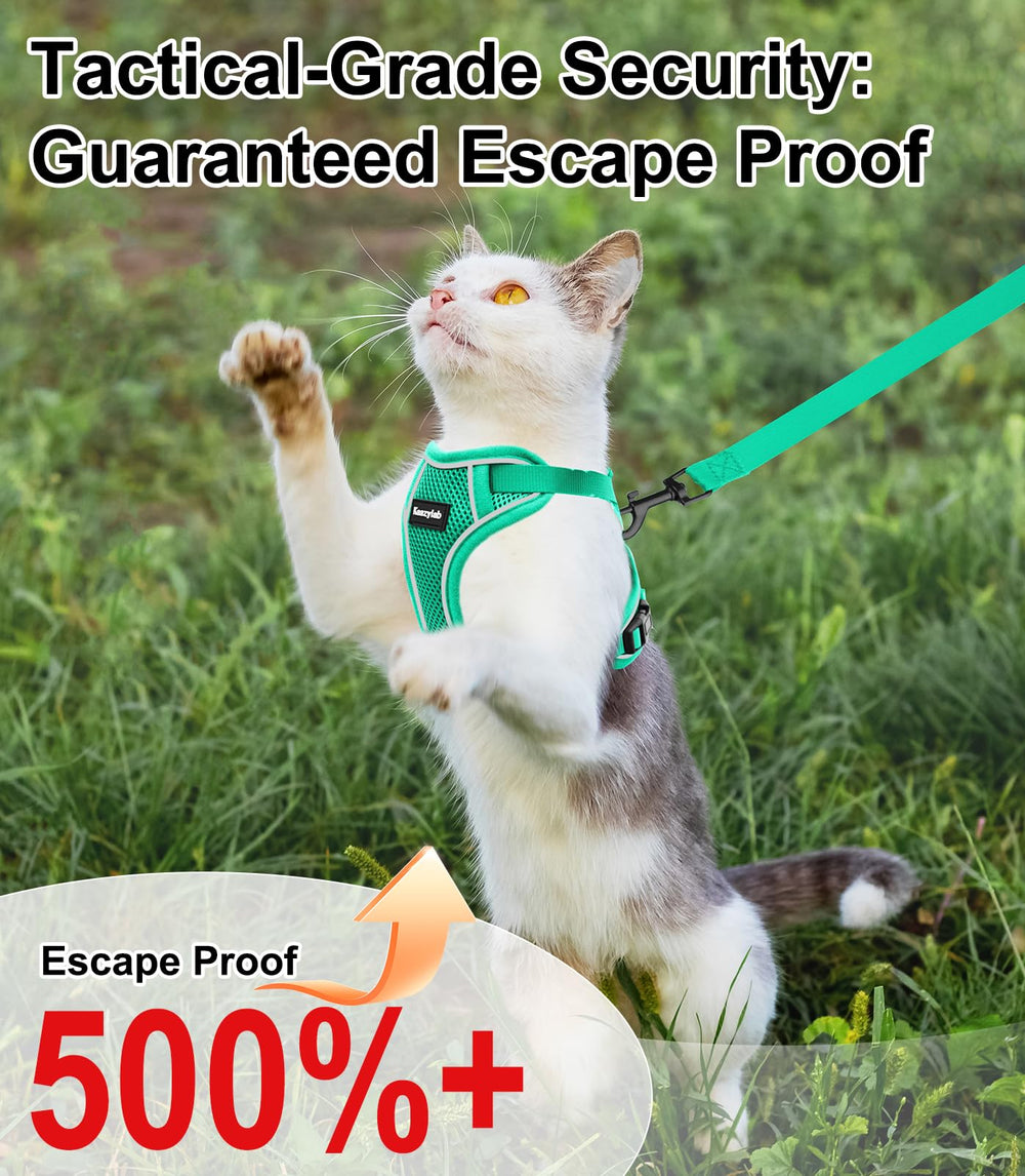 Kaazylab correa para gato, ligera y cómoda para caminatas largas.