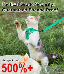 Kaazylab correa para gato, ligera y cómoda para caminatas largas.