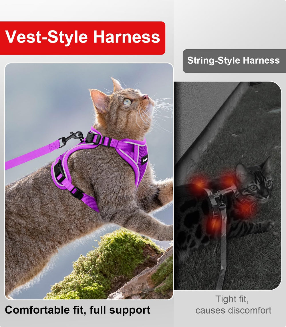 Kaazylab purple cat harness ready for outdoor travel and stylish outings