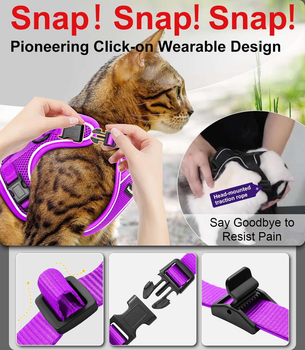 Kaazylab quick release buckles enable easy on and off during walks
