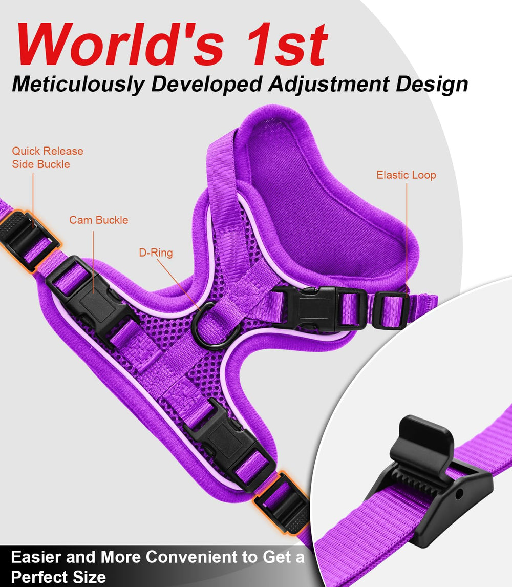 Kaazylab reflective strips help visibility during dusk outdoor walks