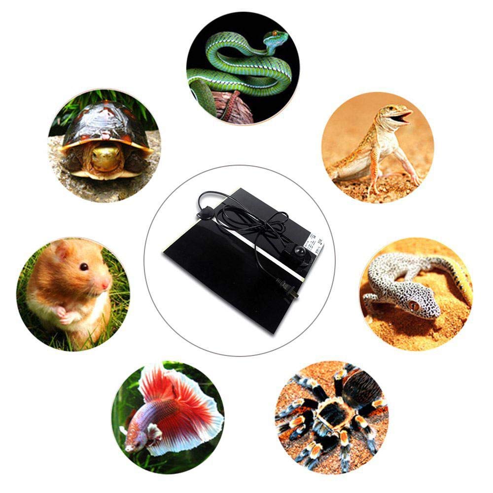Kabasi energy-saving heat mat with uniform warmth and low power draw