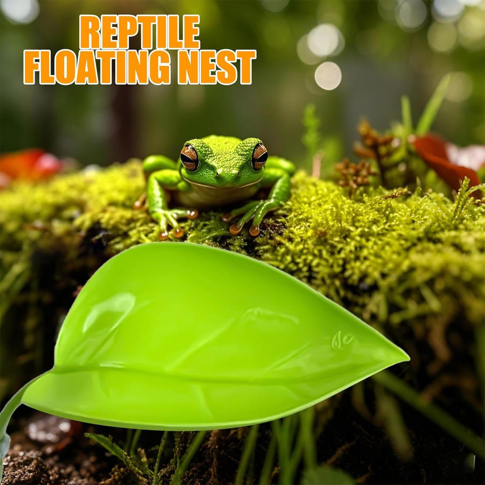 KABASI gecko-tank-setup shows leaf platform providing basking and climbing space.